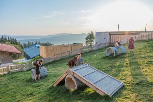 Urlaub mit Hund im Hunderesort Waldeck - Hundeplatz