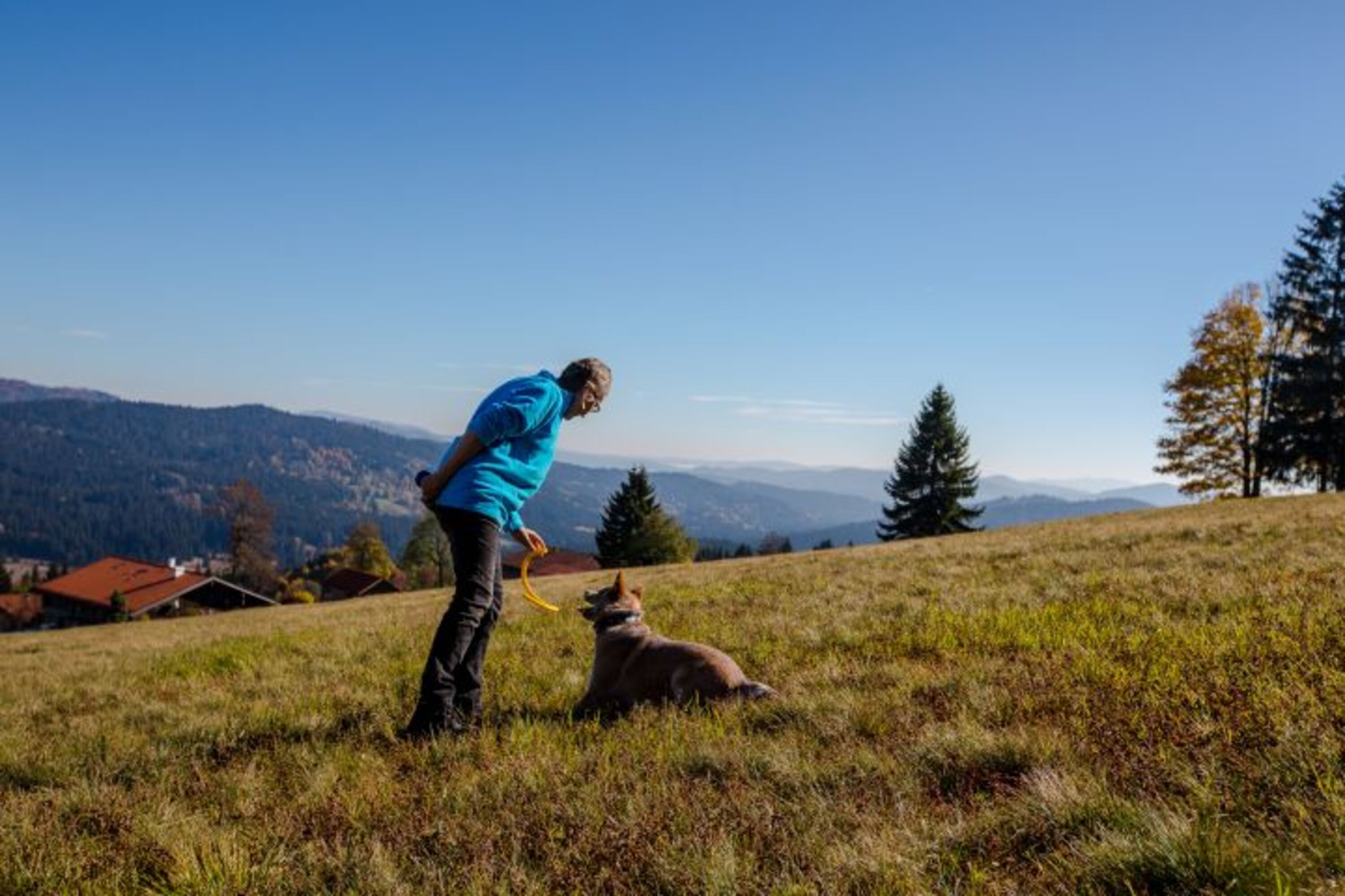 Hundewiesen