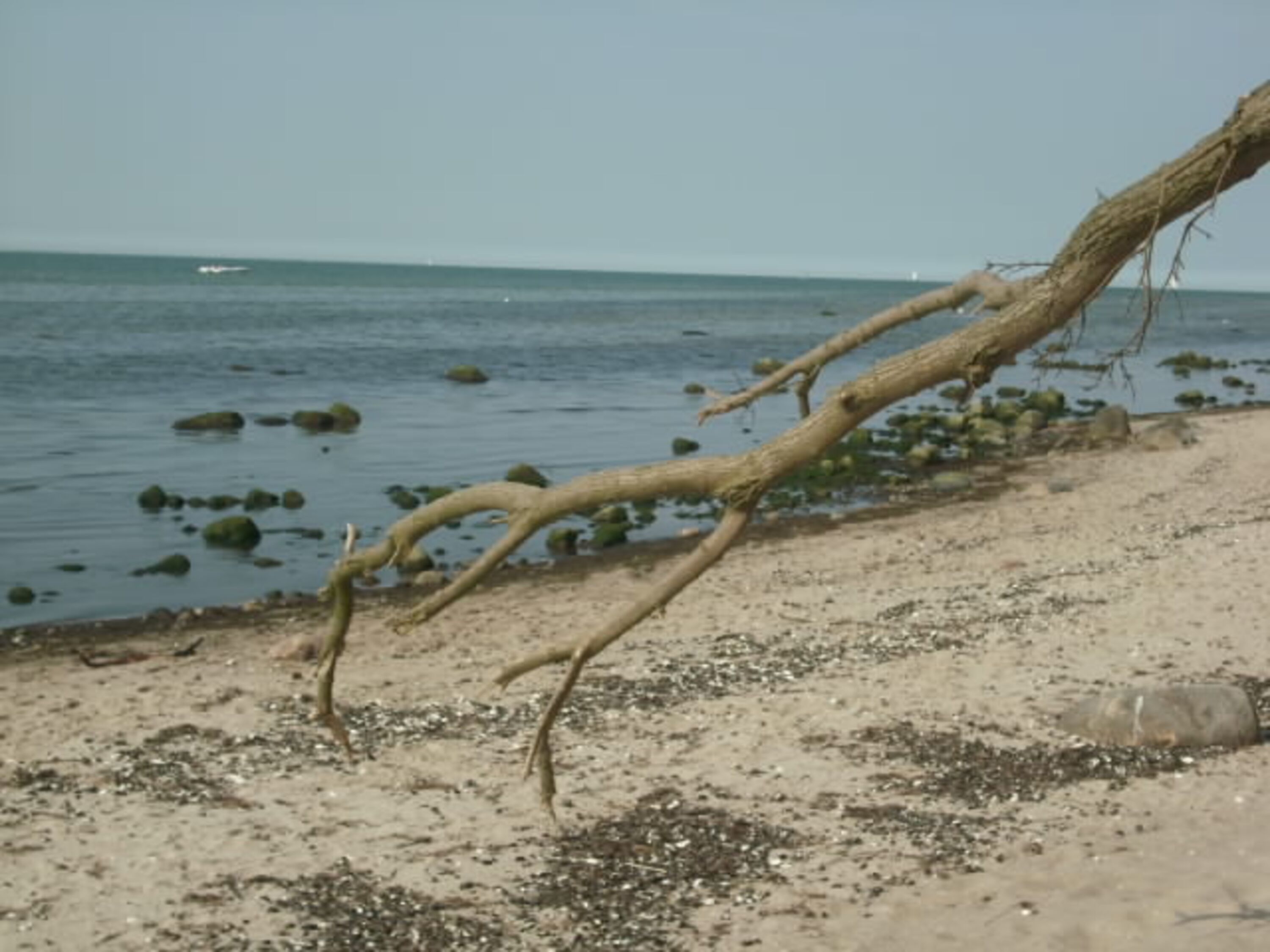 unser Hundestrand