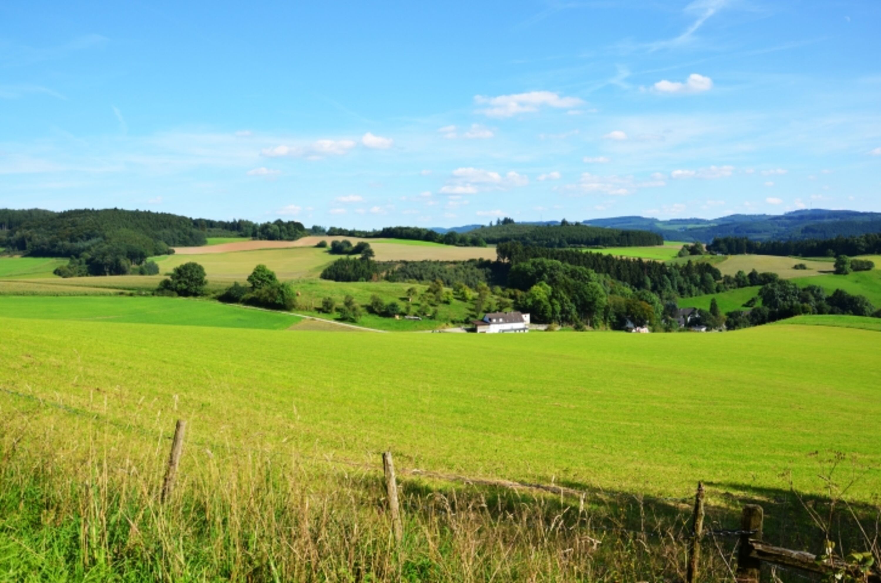 Natur Pur