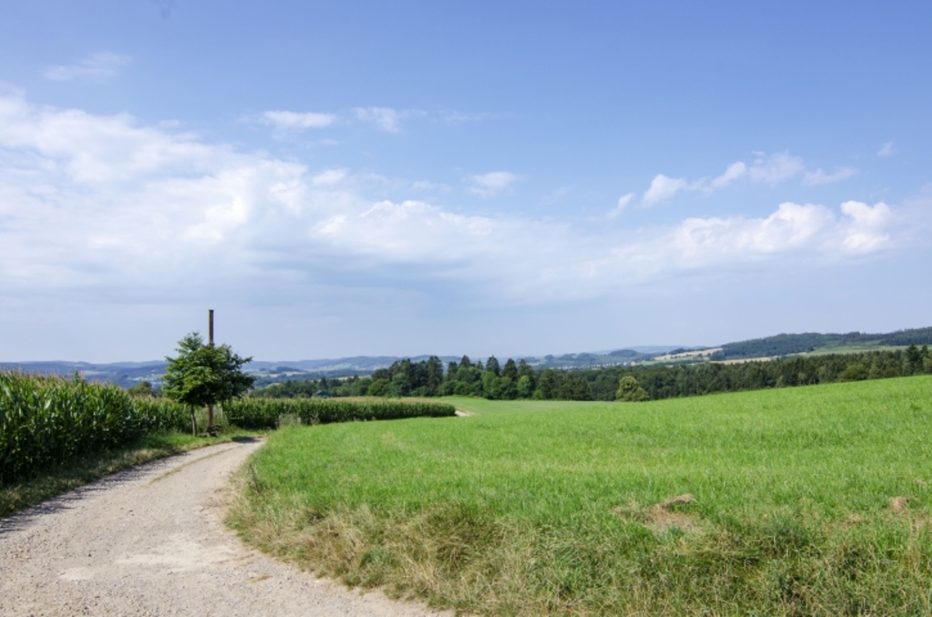 Natur Pur