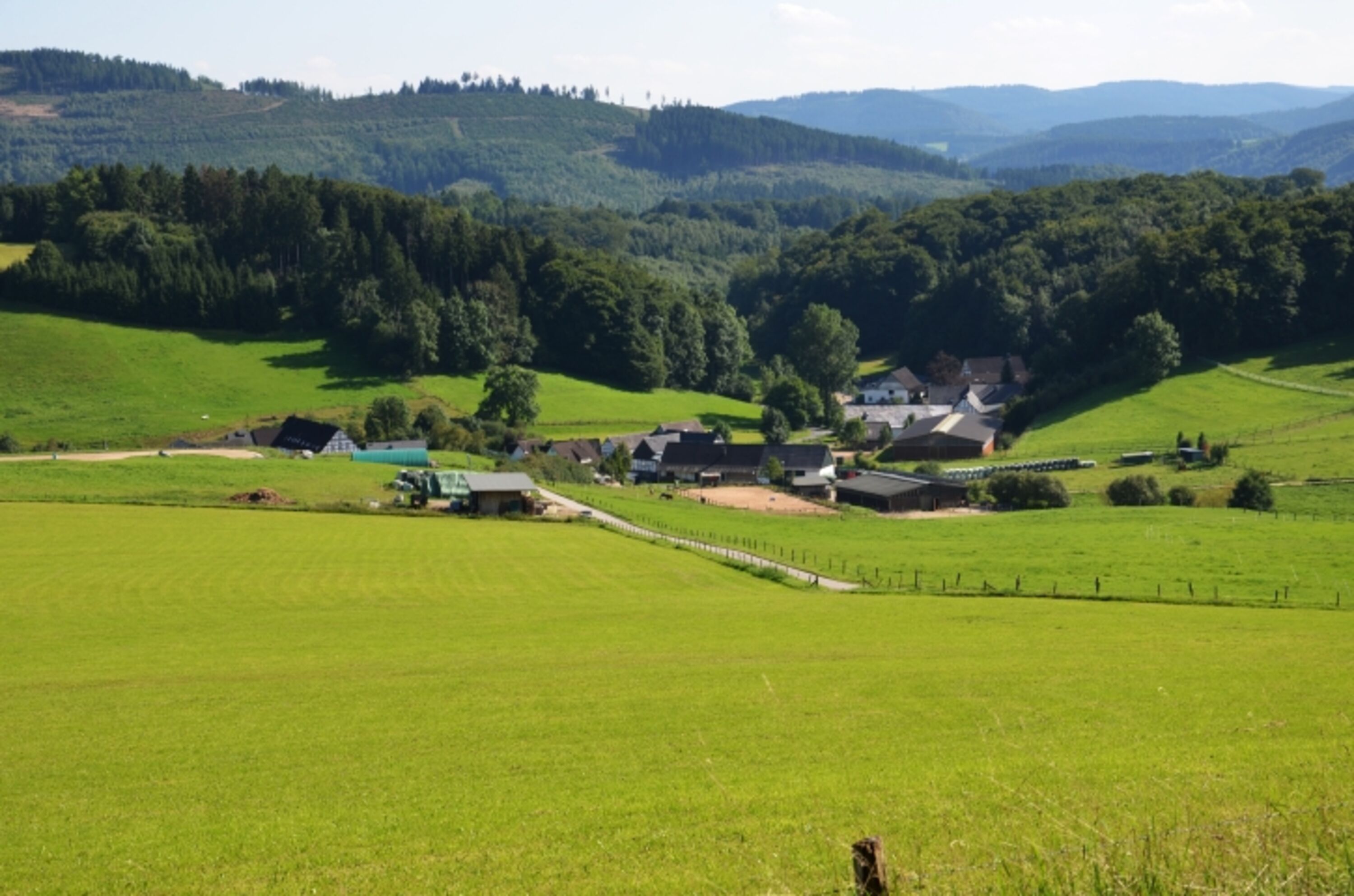 Natur Pur