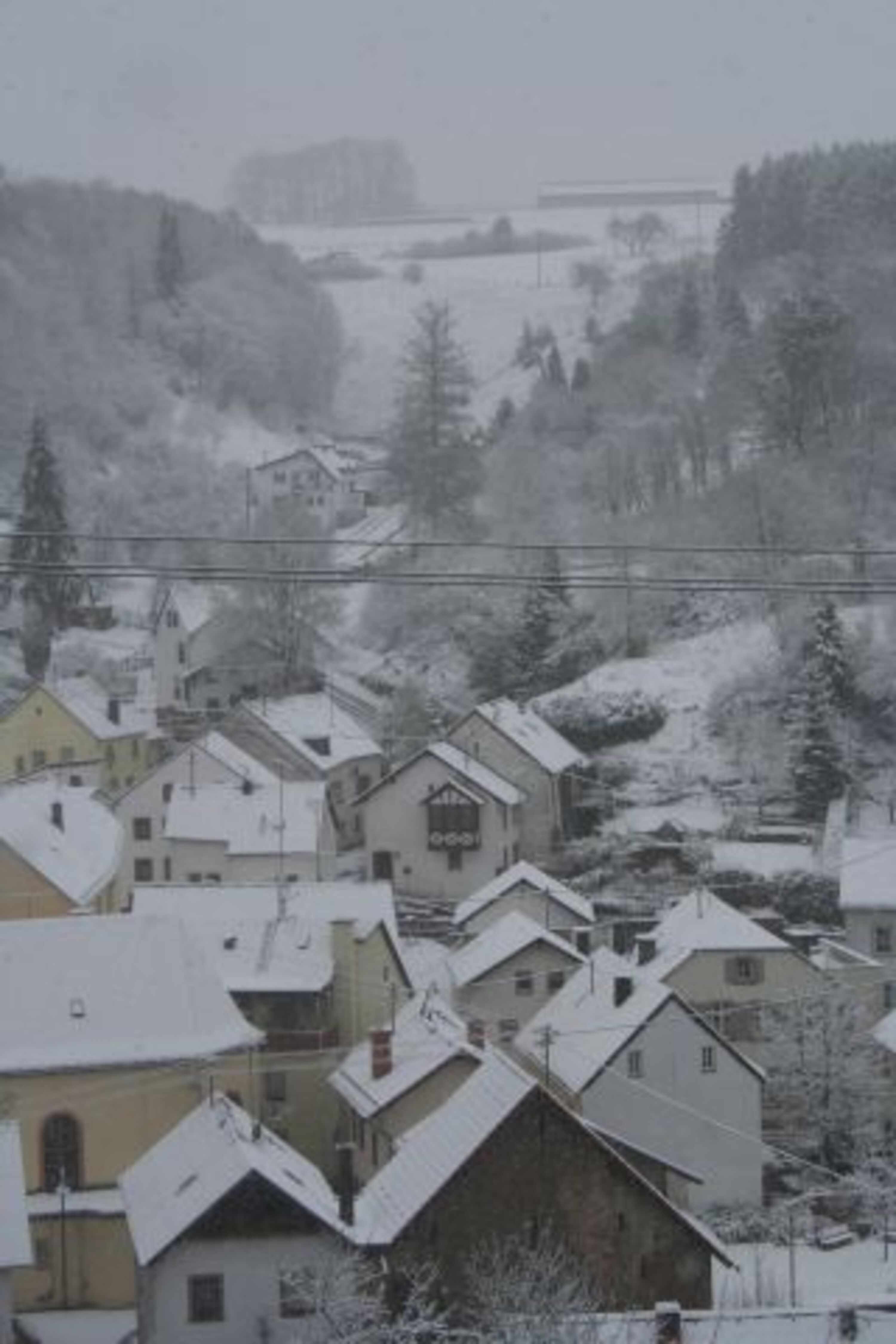 Winter