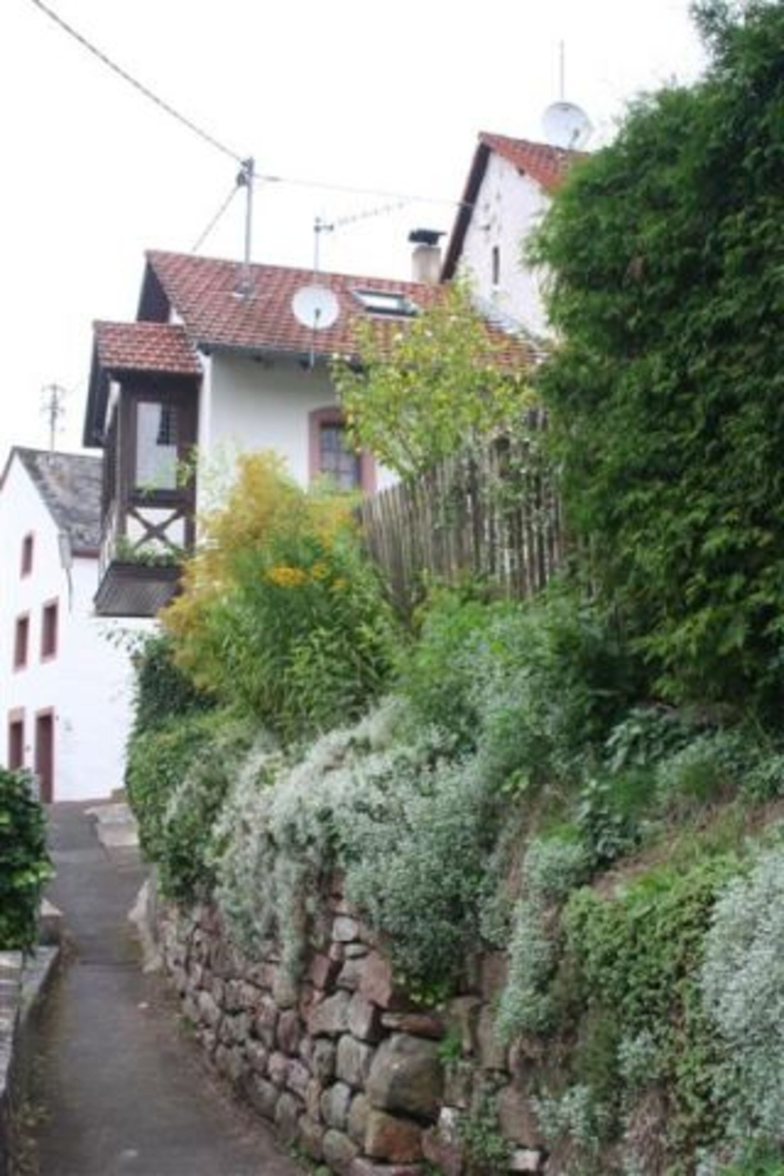 Bild 20