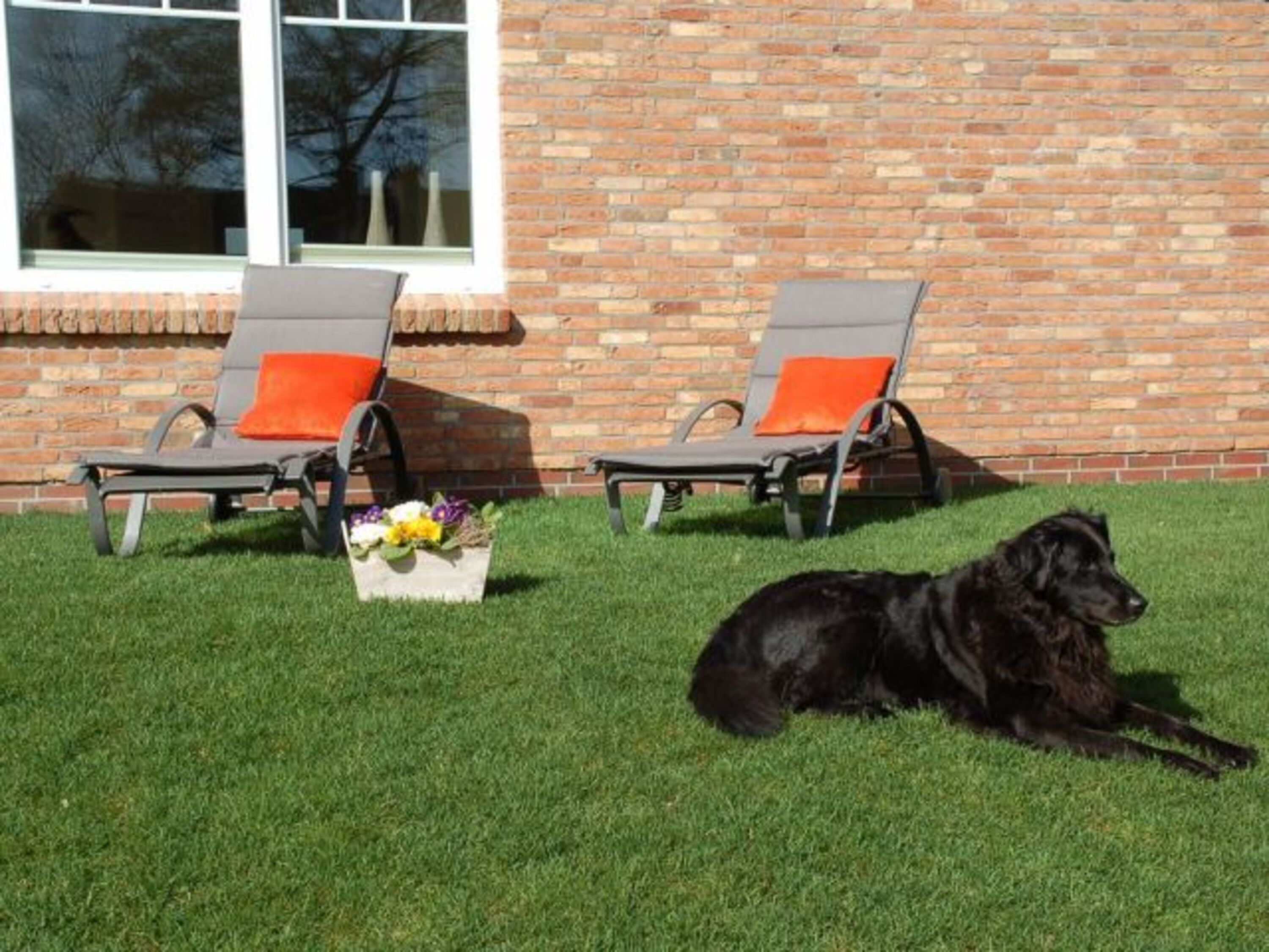 Urlaub mit Hund