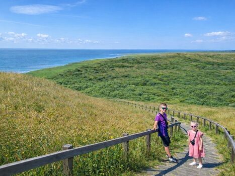 Boddenlandschaft Rügen
