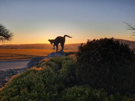Blick auf den Katzenbuckel