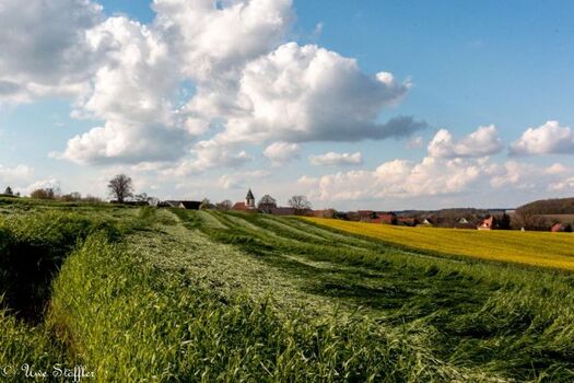 Blick auf Herrentierbach