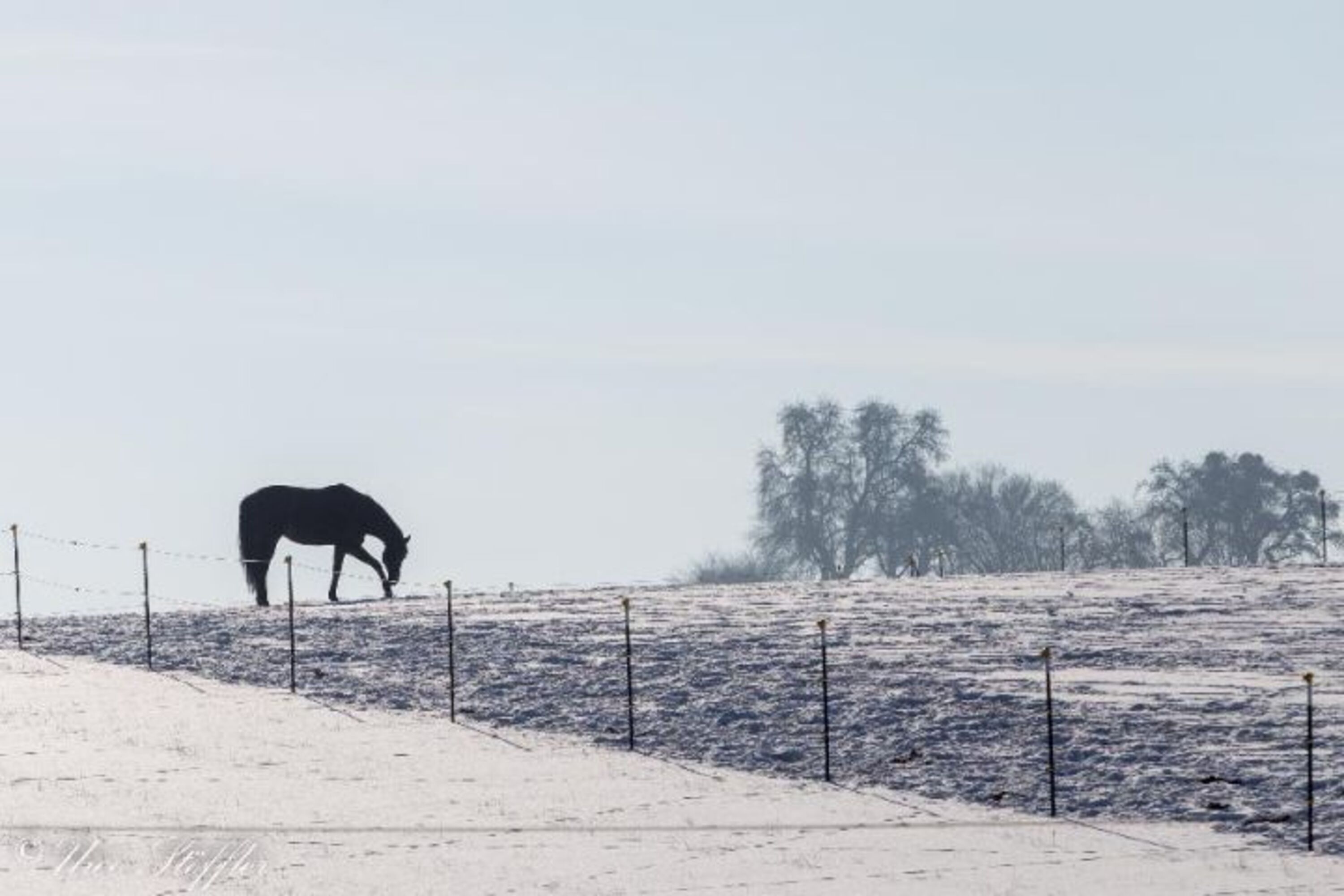 Vor der Haustüre