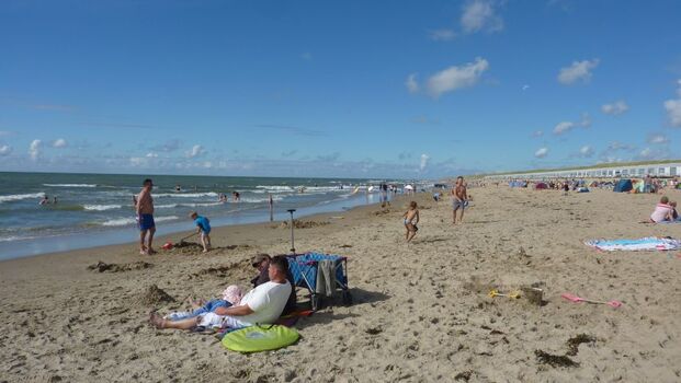 Mit Ihr Hund am Strand