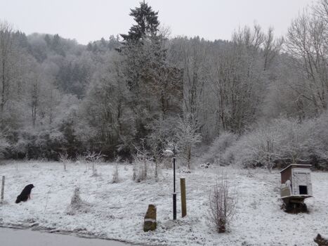 Winterimpression Kirchturmruine