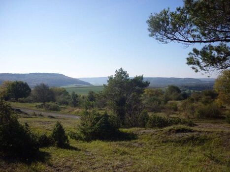 Fernsicht auf der Höhe