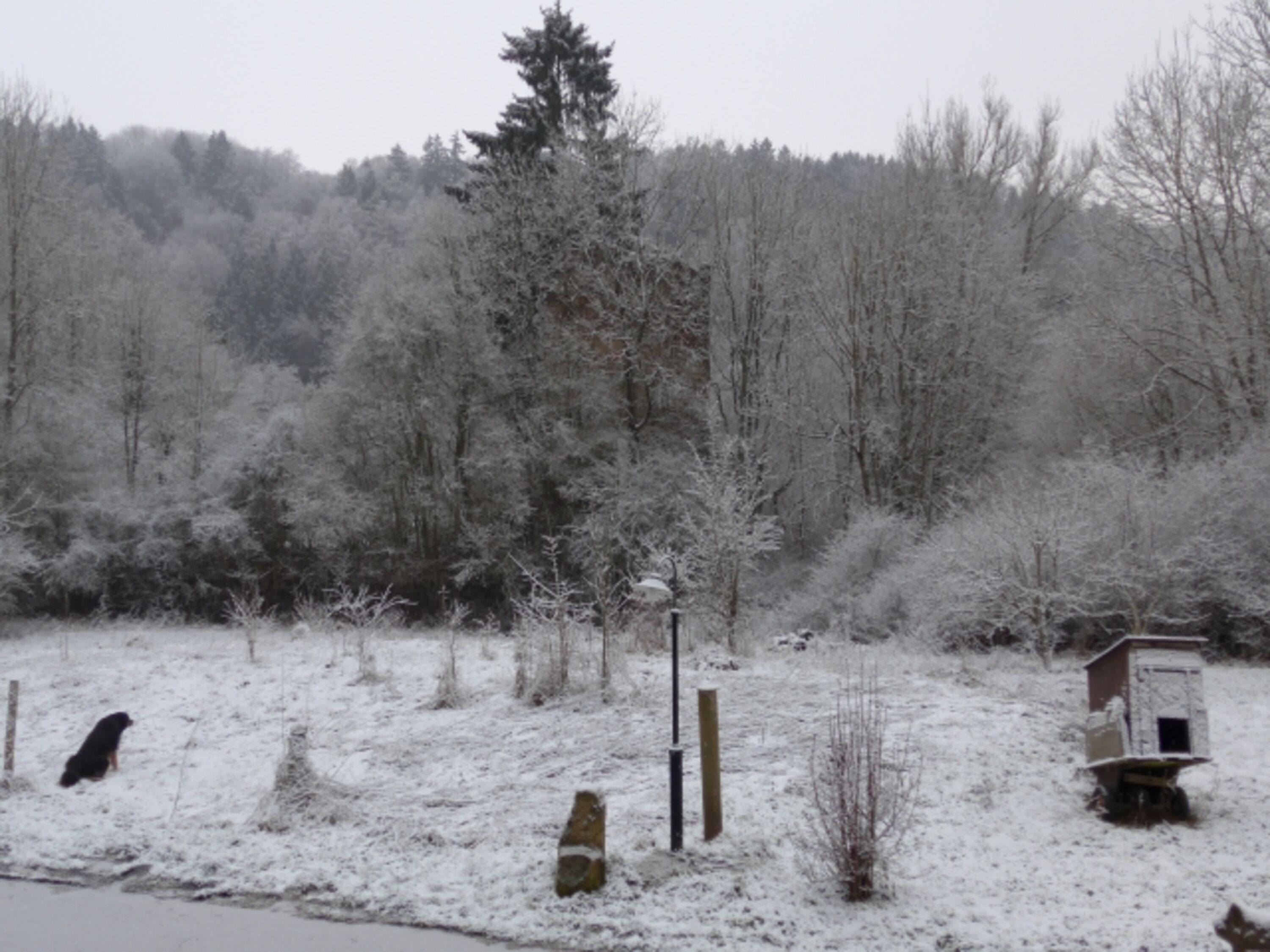 Winterimpression Kirchturmruine