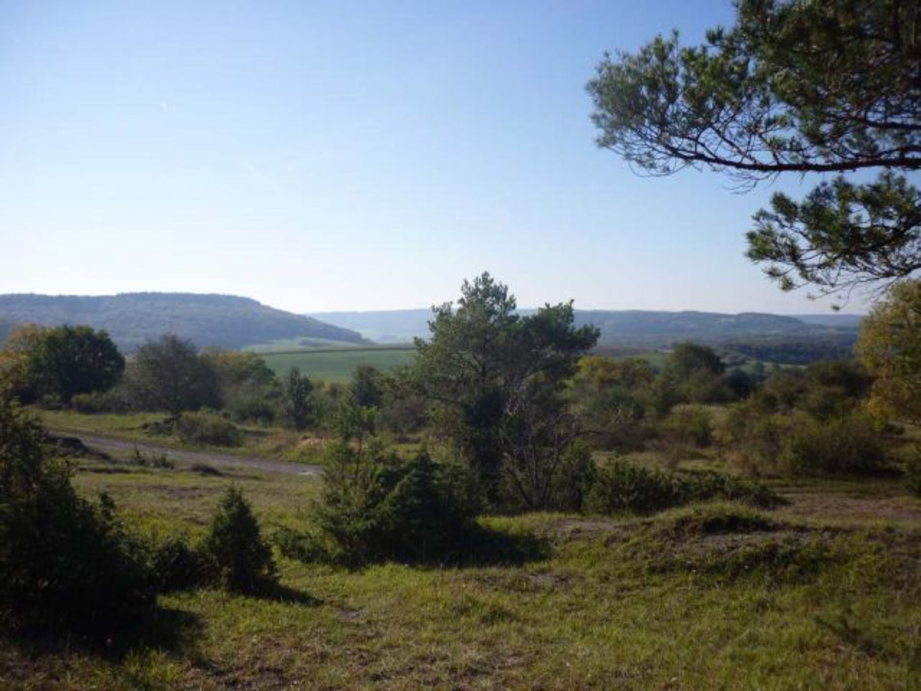 Fernsicht auf der Höhe