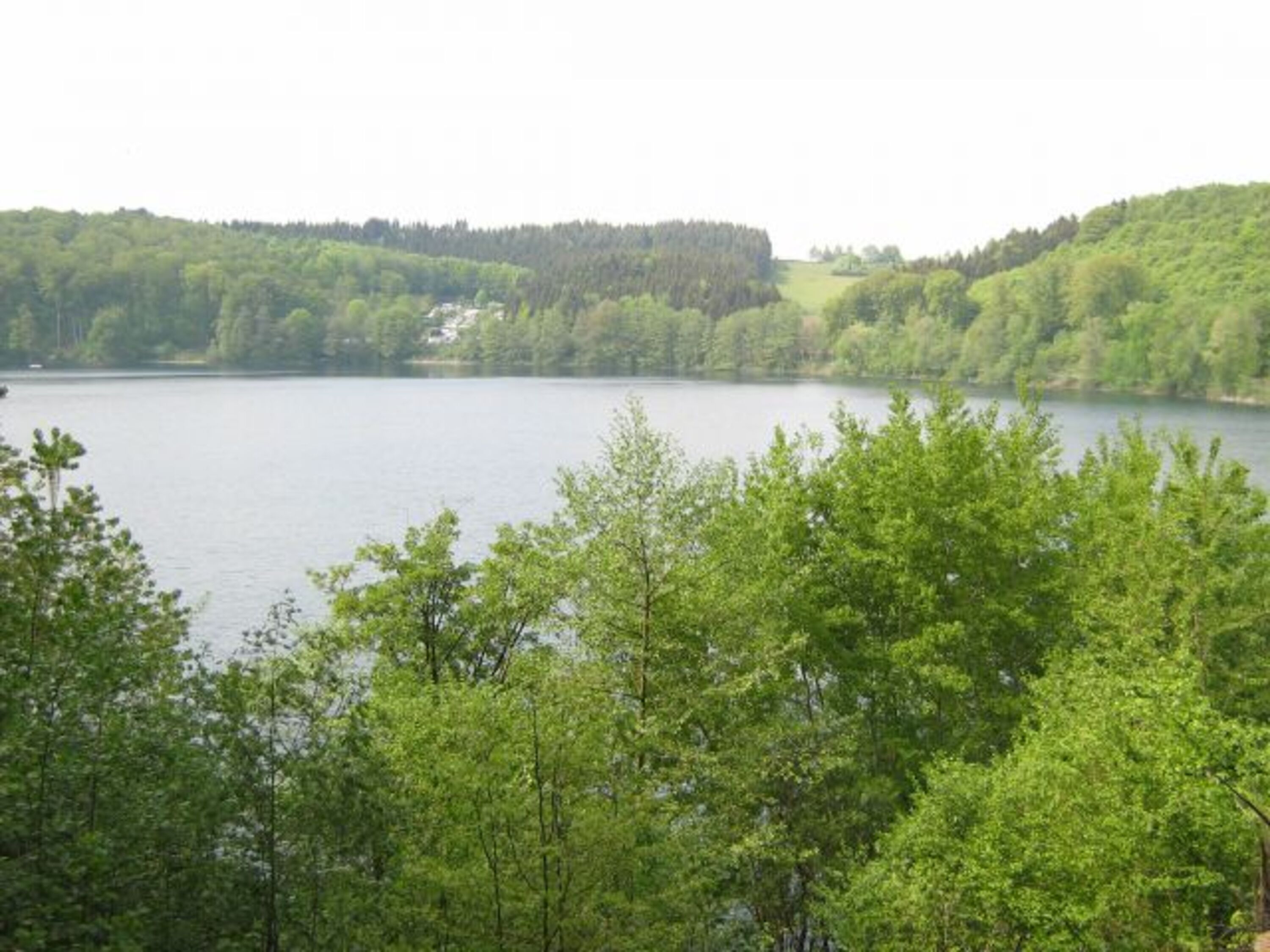 Pulvermaar