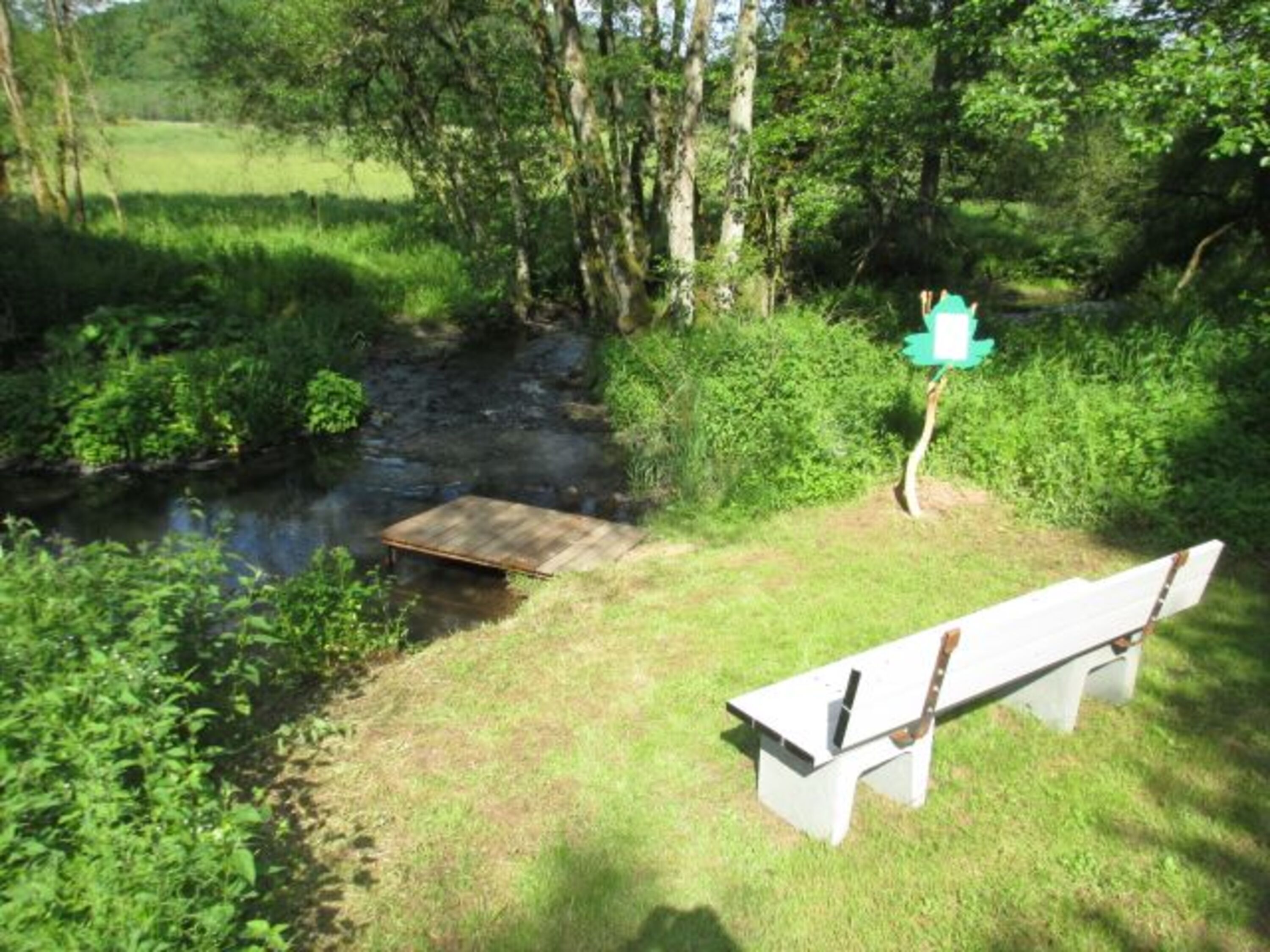 Am 2-Bäche-Pfad im Alfbachtal
