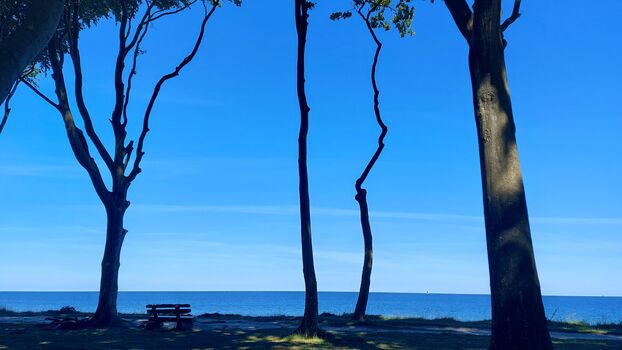 Oase am Meer