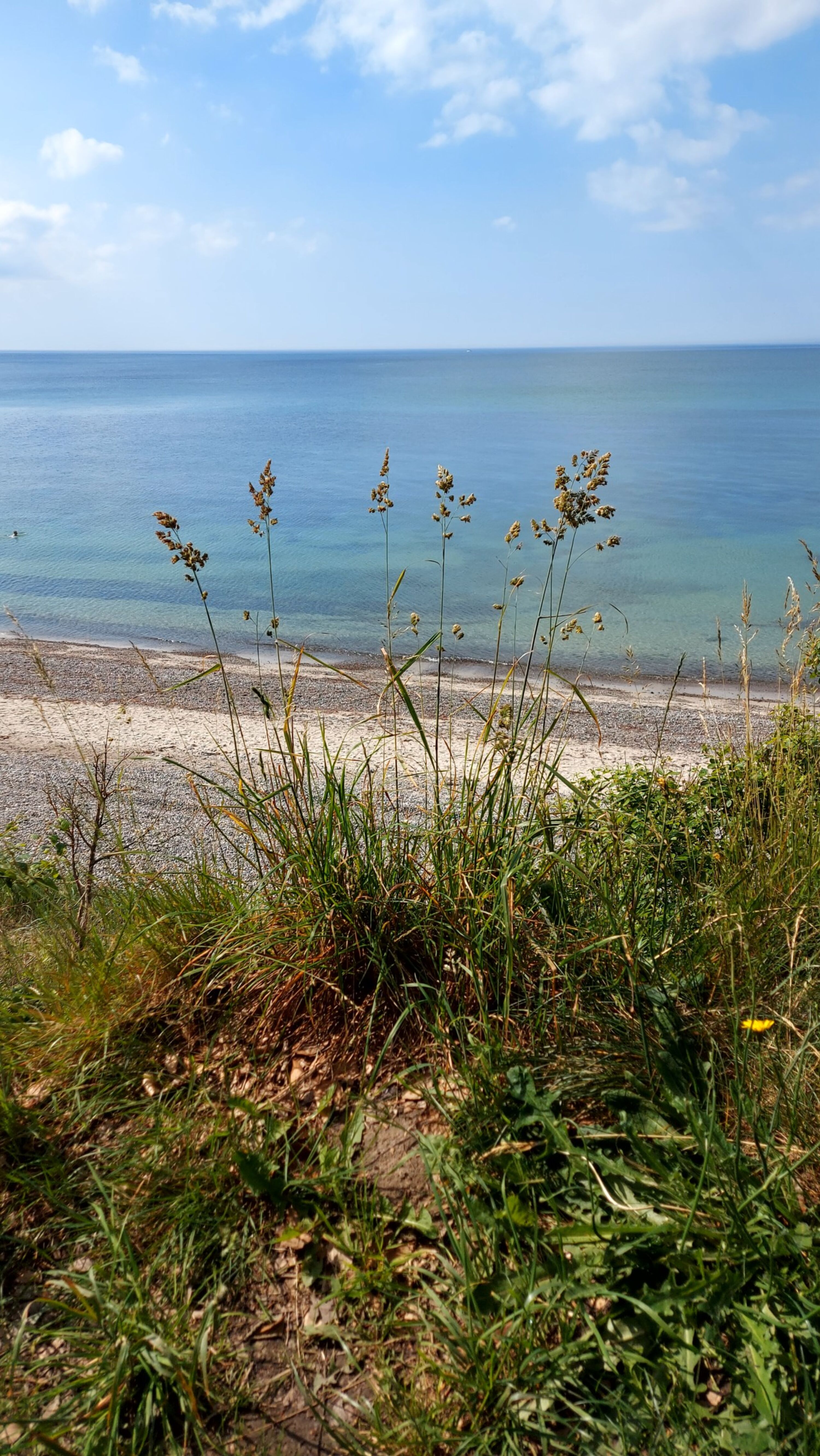 Blick vom Kliff