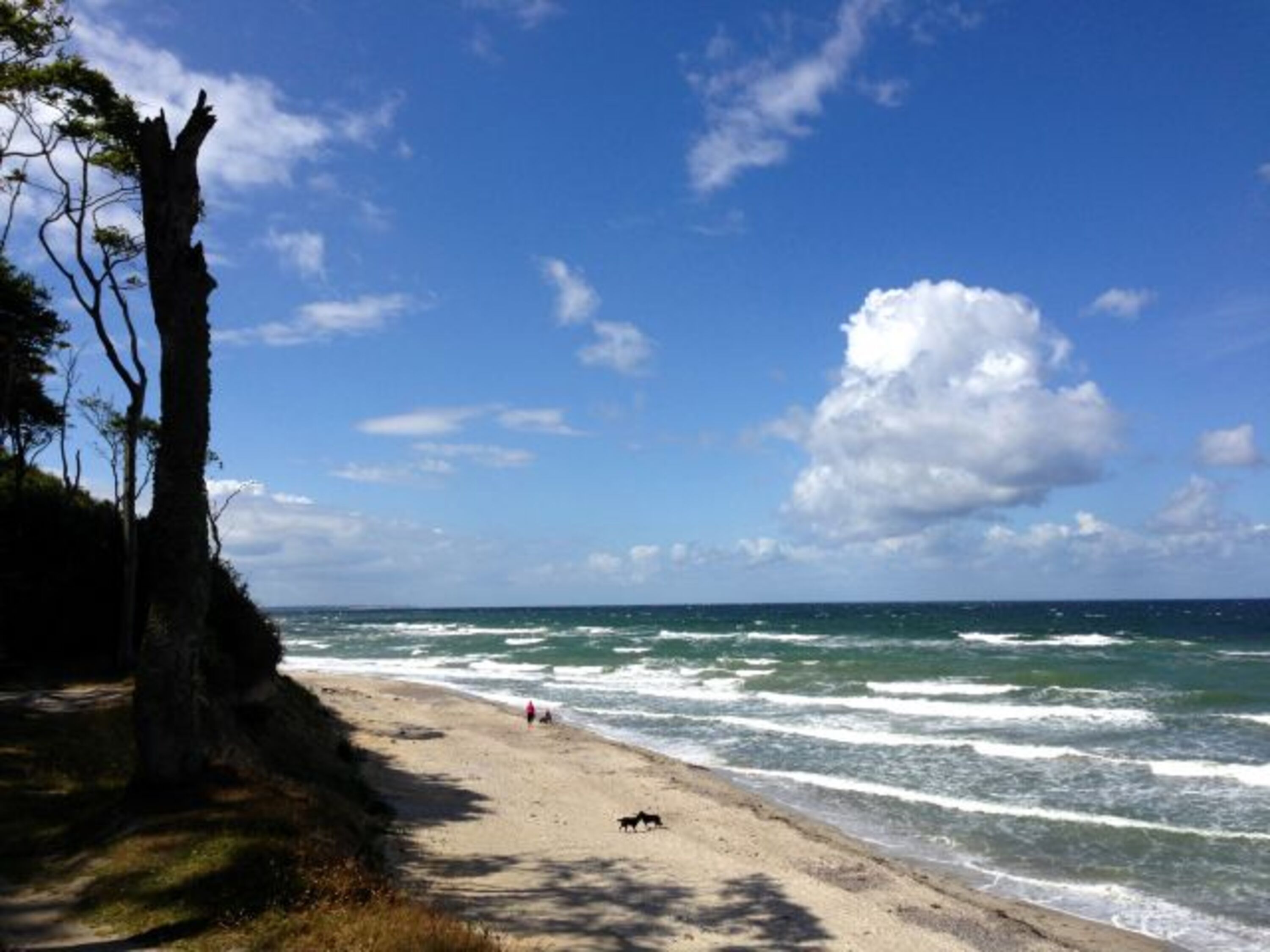 Hundestrand