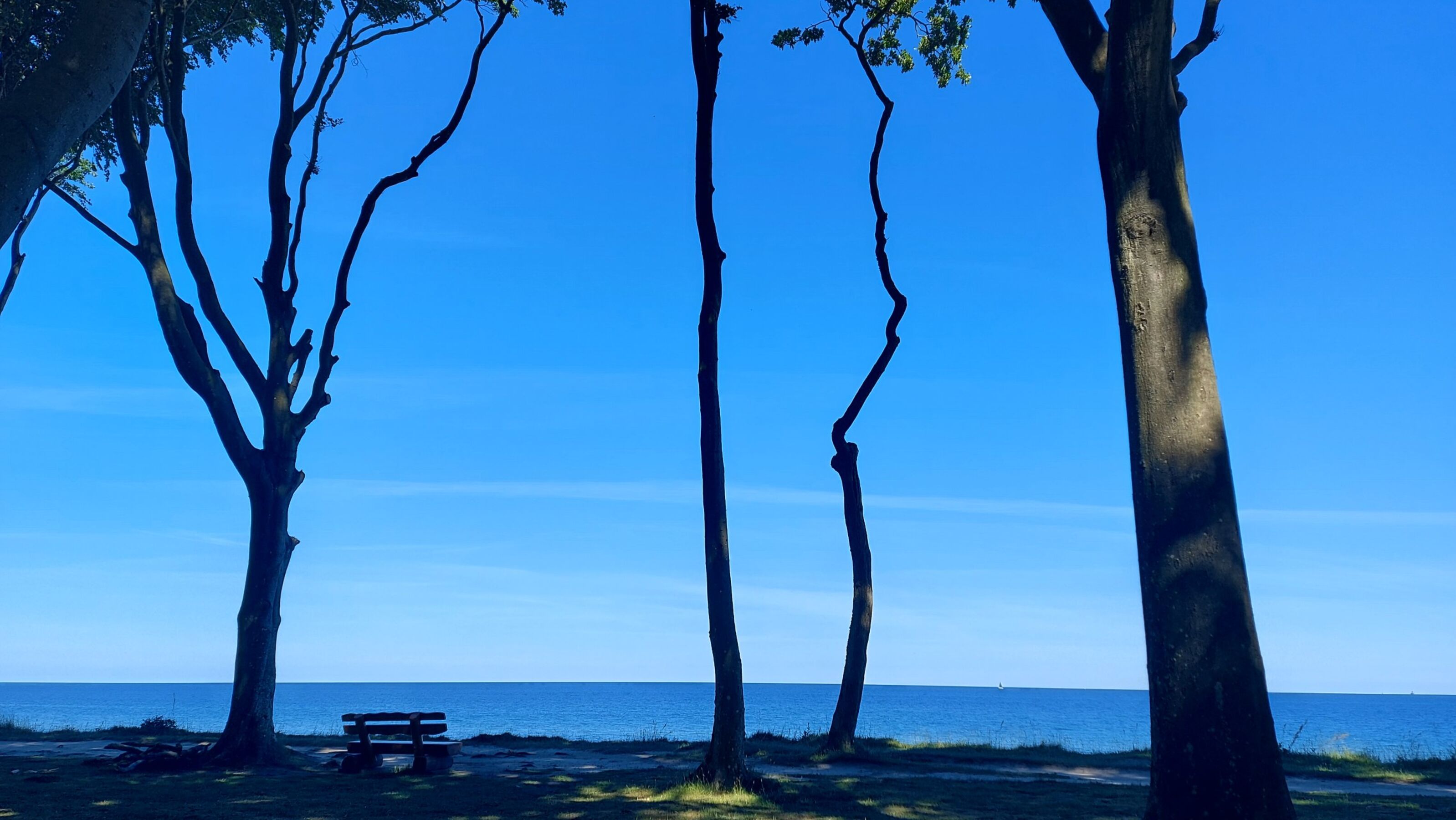 Oase am Meer