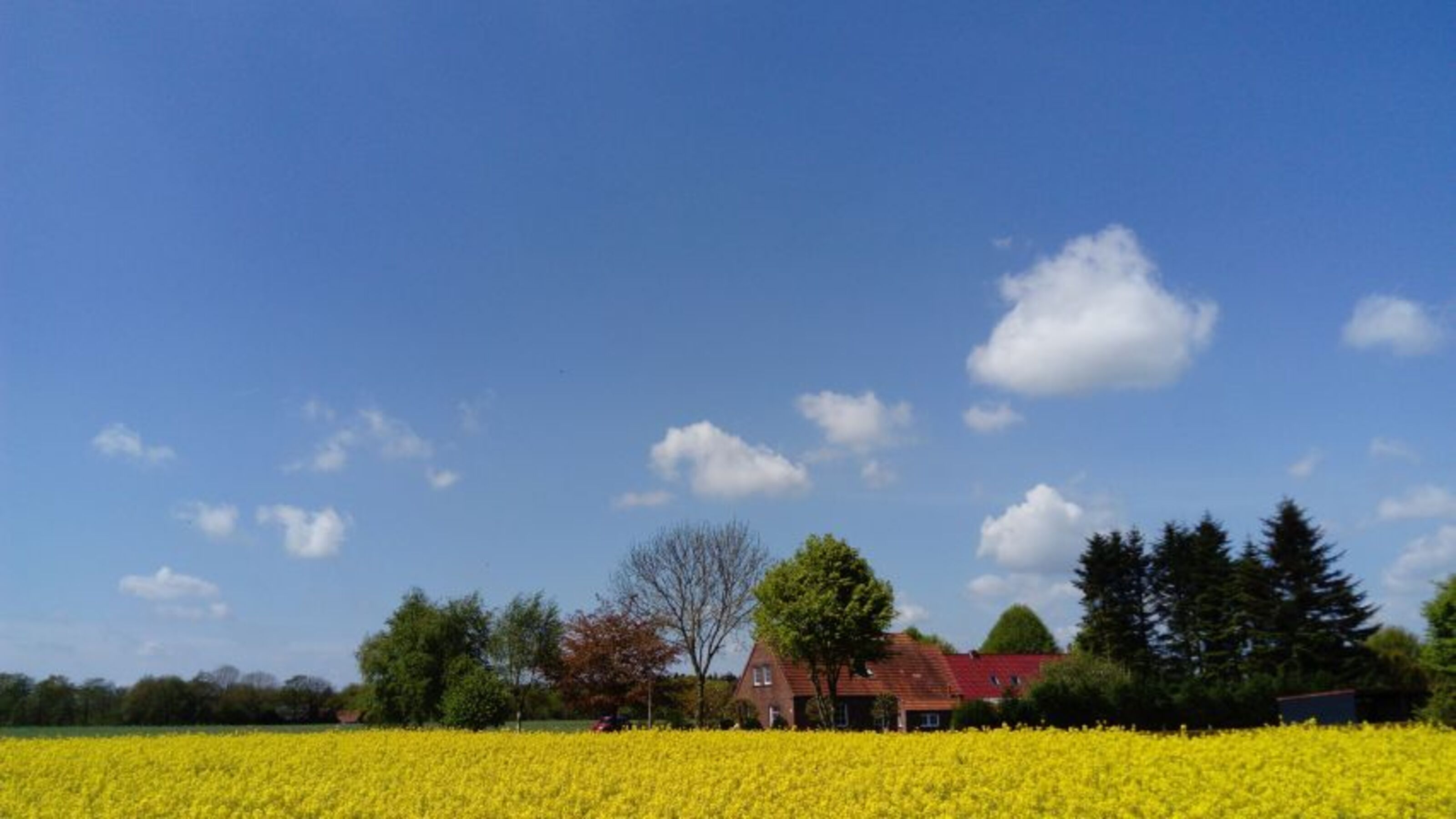 Blick auf die Hofschaft