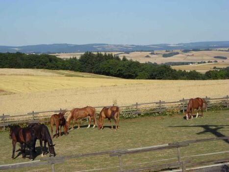 Aussicht vom Blockhaus ins Elztal