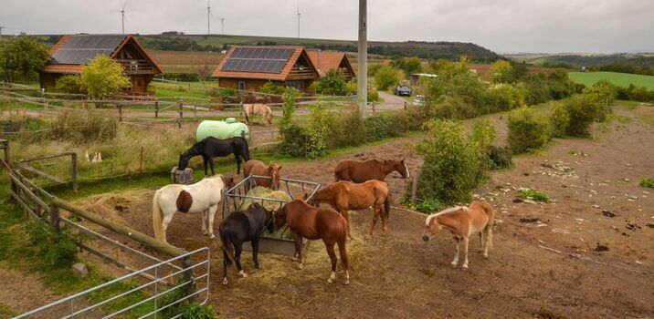 Blick auf die Blockhäuser