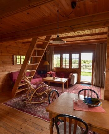 Wohnraum rotes Blockhaus