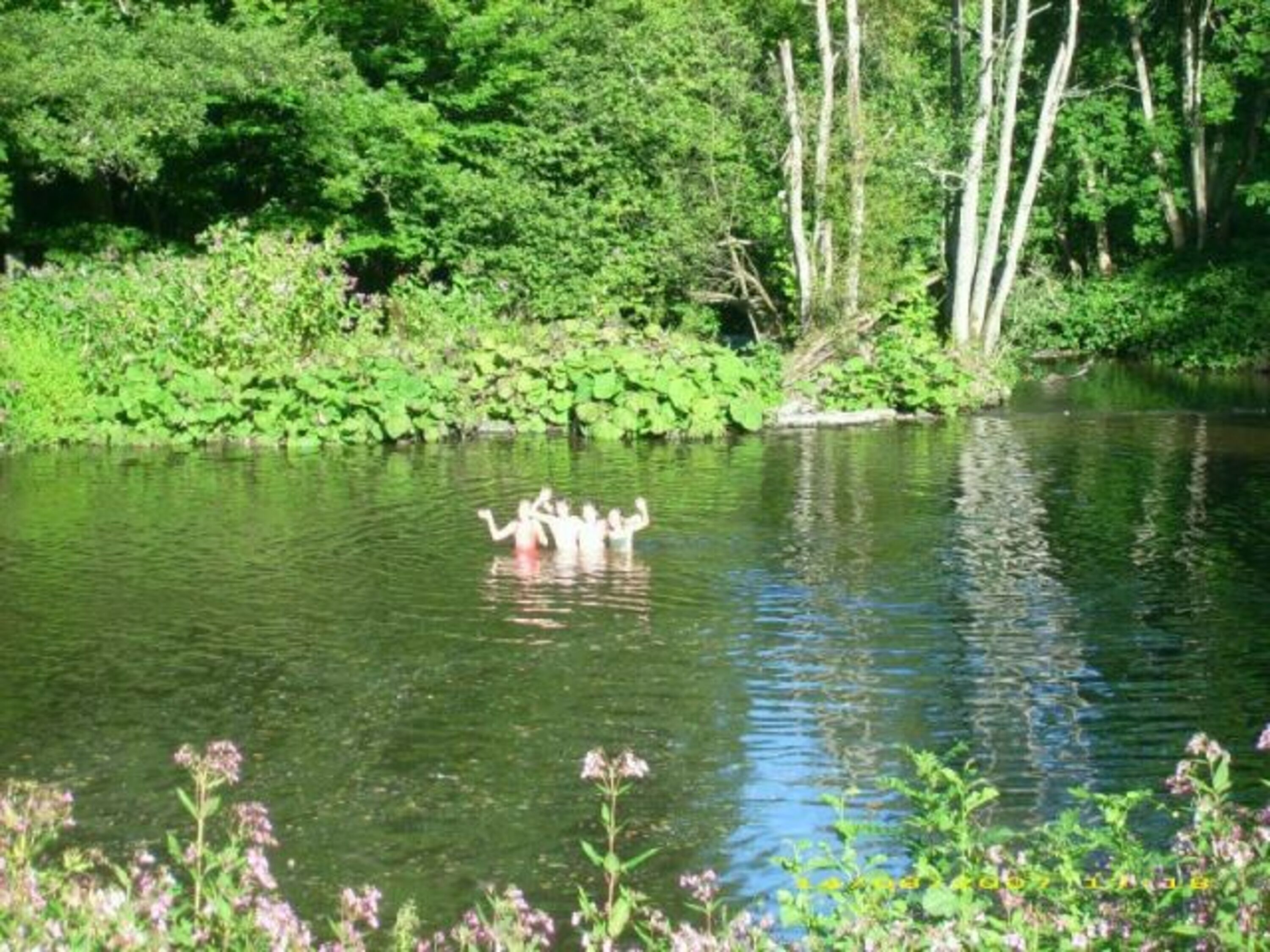 Bild 17