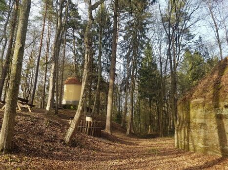 nahegelegener Kraftplatz im angrenzenden Wald - die "Vulkanarena"