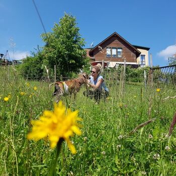 unsere Therapieschafe - hier Heidi - lassen sich gerne von Dir füttern und streicheln, Hausansicht vom Tal