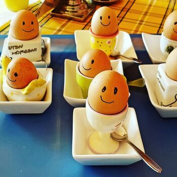 frisch gelegt - unsere BioEier von hauseigenen Hühnern