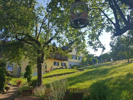Blick aus unserem Naturgarten aufs FühlDichWohl