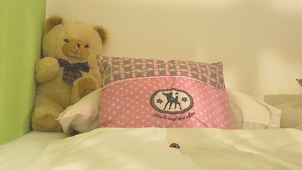 Kinder - Hochbett (Doppelbett) Detail vom FamZi Landidylle