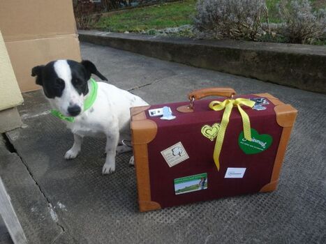 Hunde herzlich willkommen