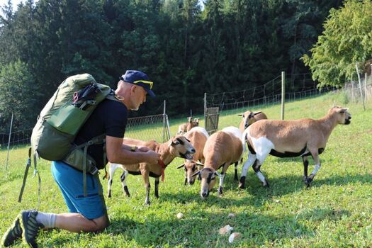 Idealer Ausgangspunkt für Wanderungen 