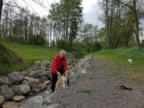 Hundespaziergang an der Raab- mehrere Bademöglichkeiten
