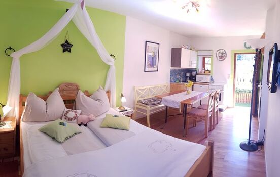 Hauptraum im FamZi/Appartment SAUSTALL