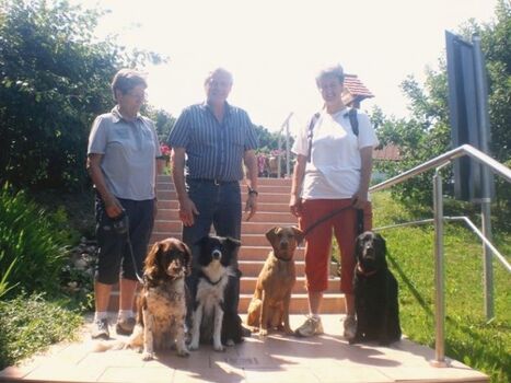 Hunde herzlich willkommen!