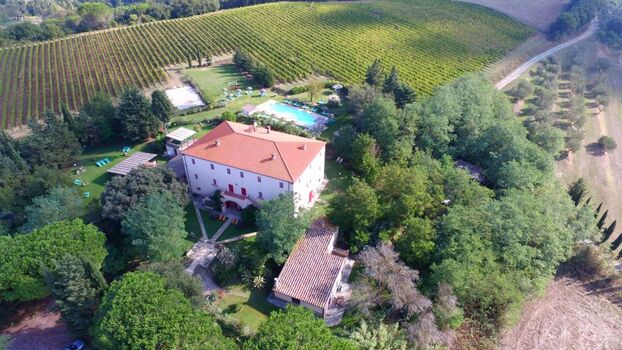 wir sind auf eine privat Hugeln, zwischen Weinberg und Olivenbaeumen