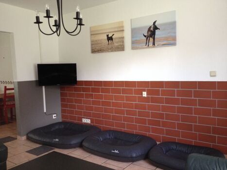 Die drei Hundebetten 