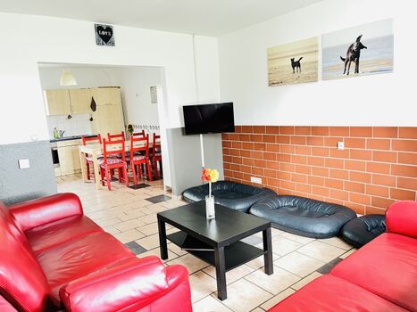 Wohnzimmer mit Hundebetten