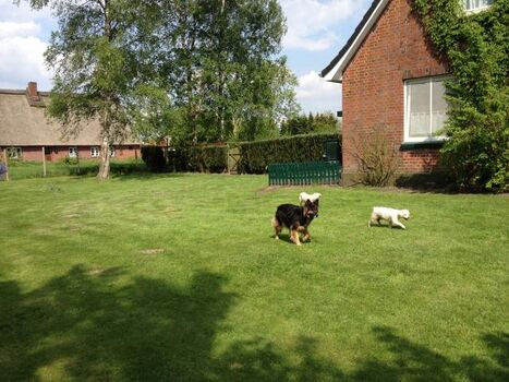 Der Garten der Ferienwohnung  , 1,80m hoch umzäunt