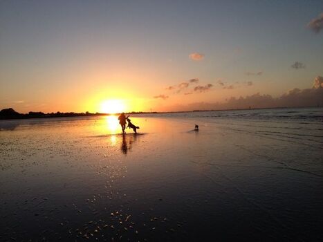 Im Watt von Otterndorf