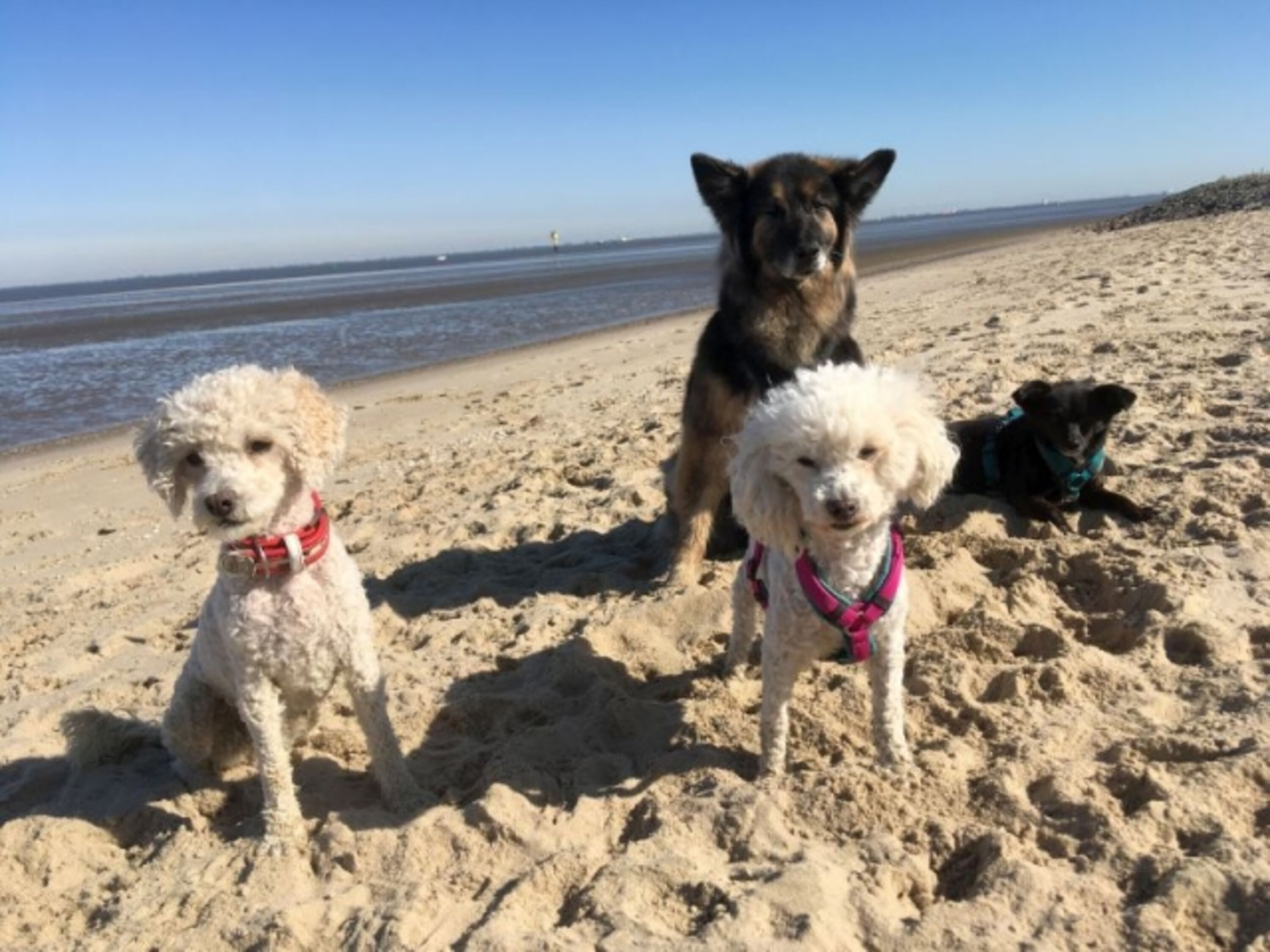 Am Strand