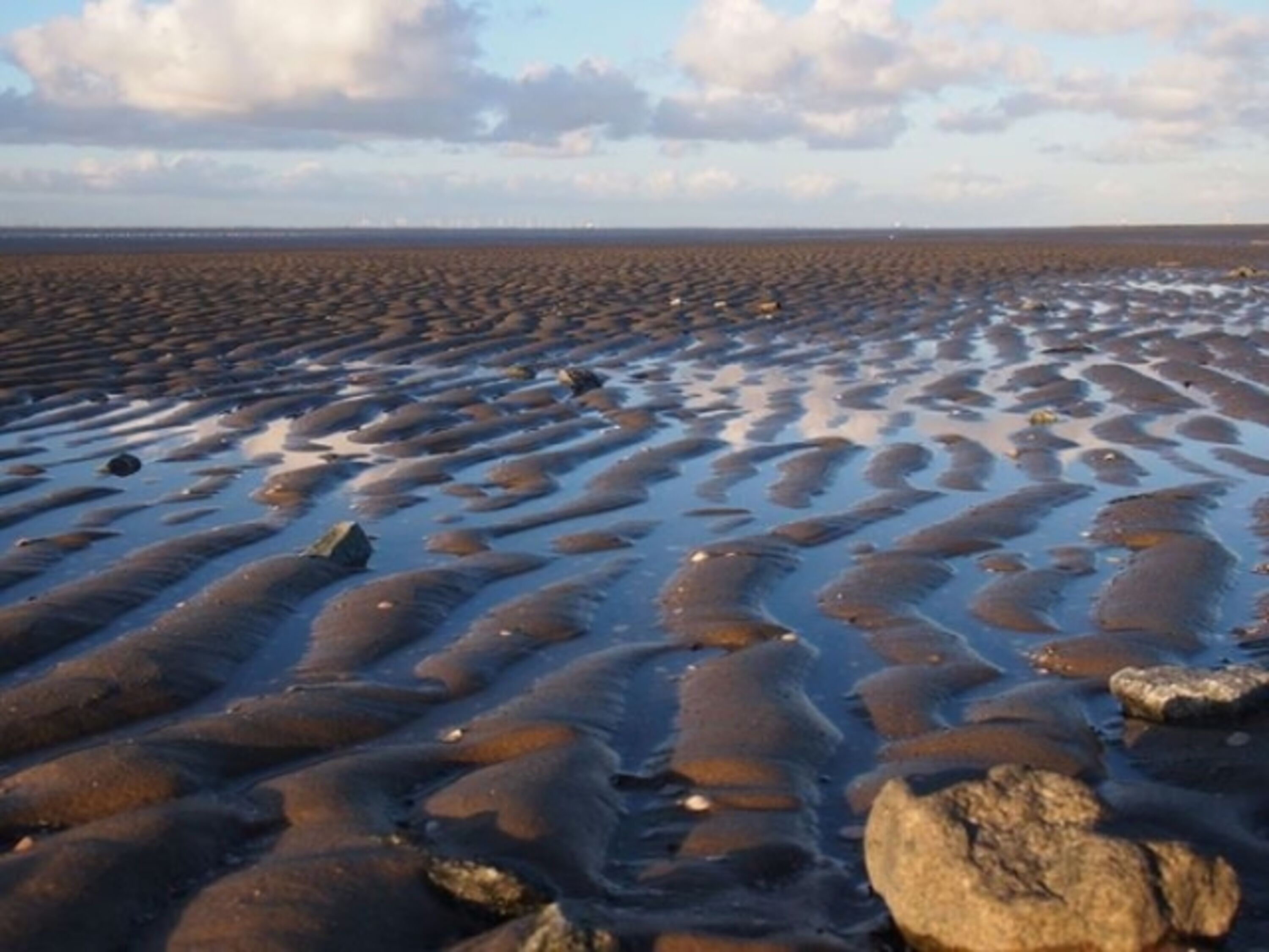 Wattenmeer