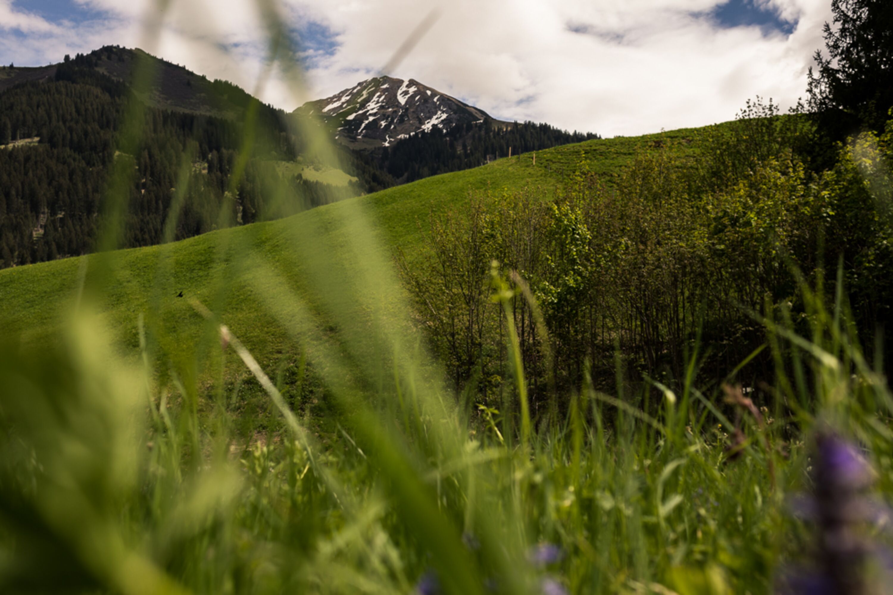 Ausblick hinter dem Gästehaus