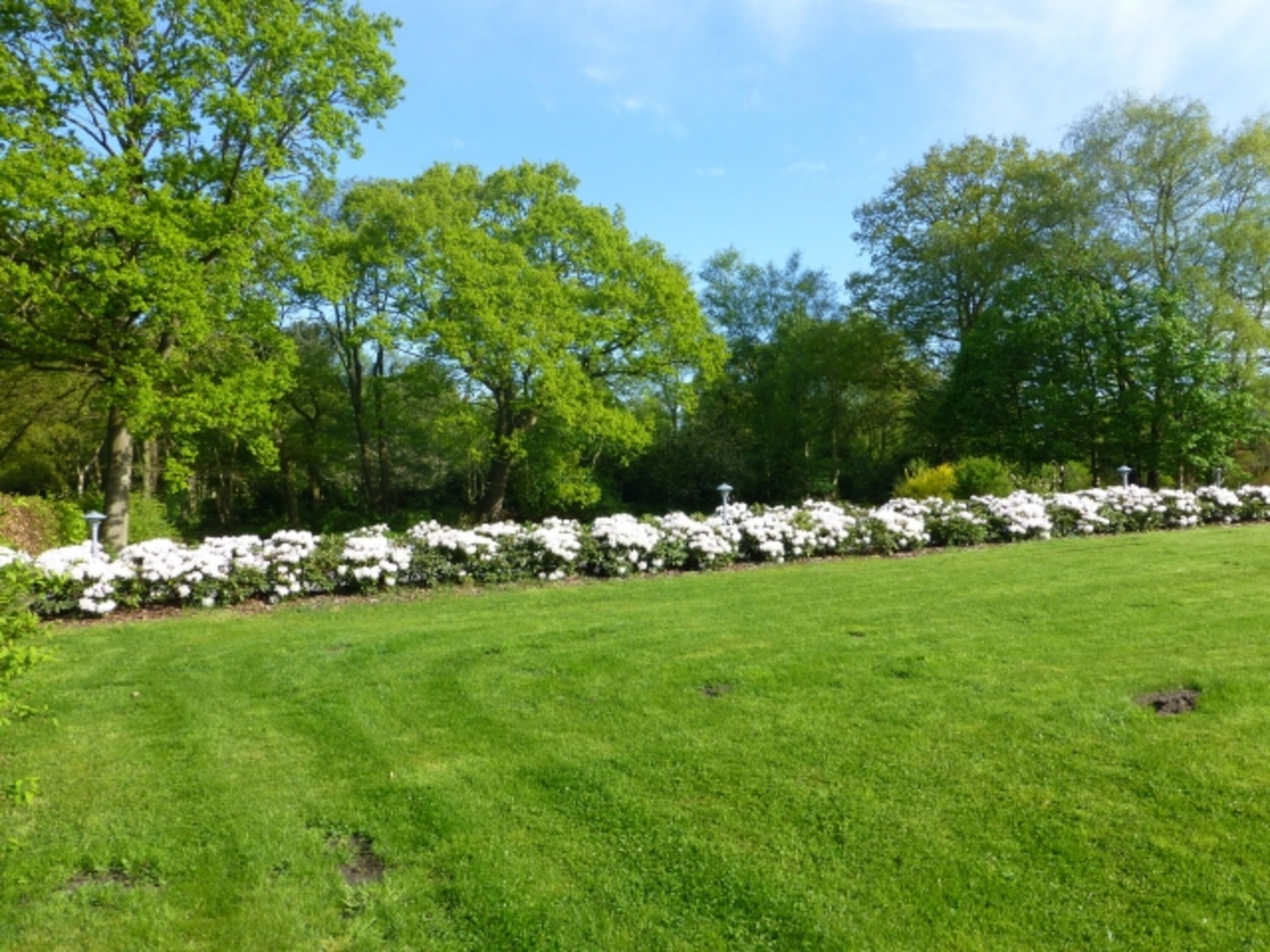 Ausenbereich