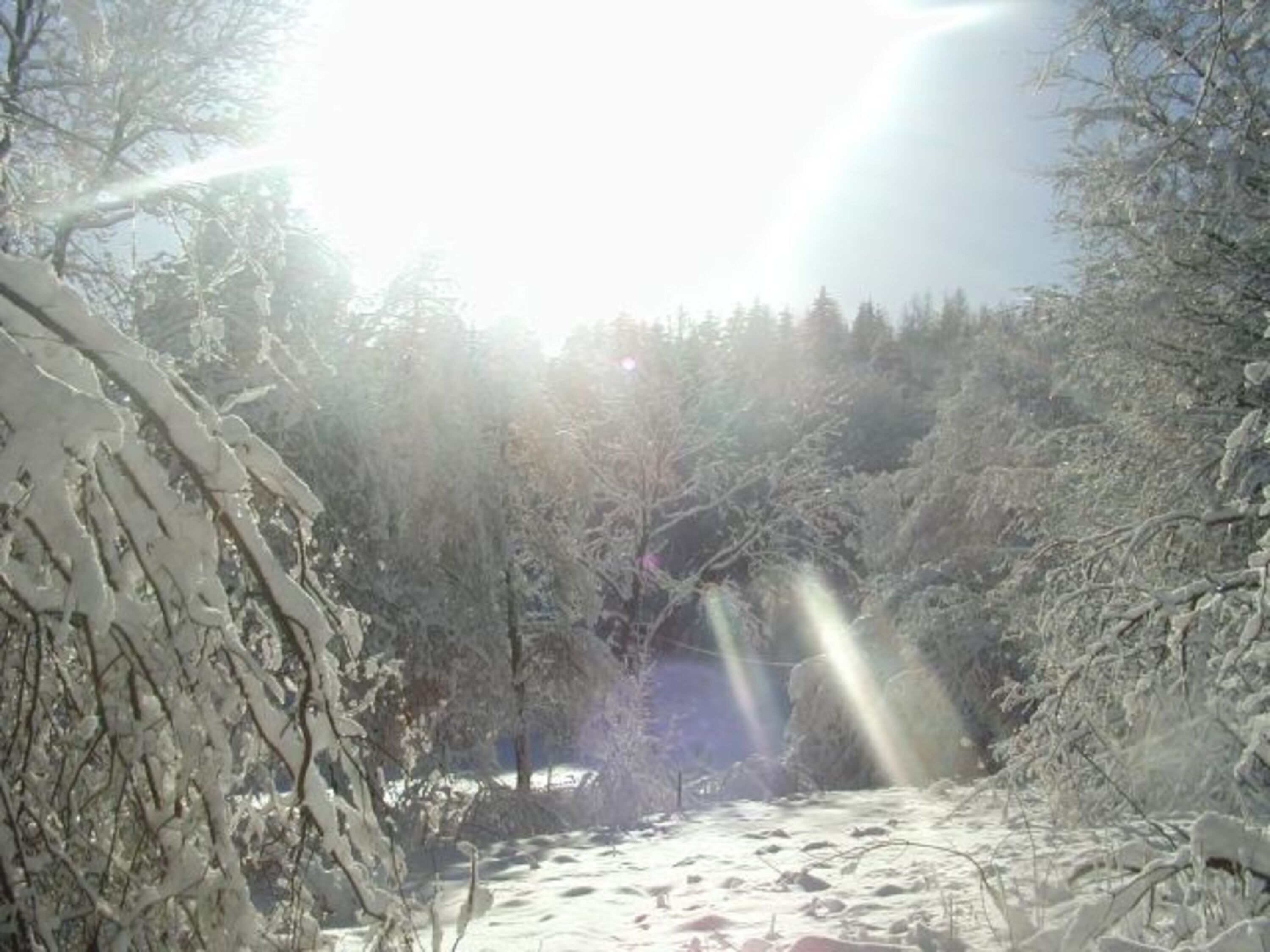 Winterlandschaft