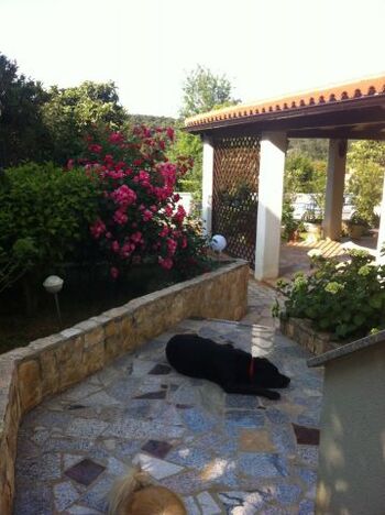 Unsere Bleki und Bubi